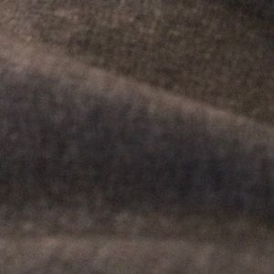 Meet your Posher, Gavin